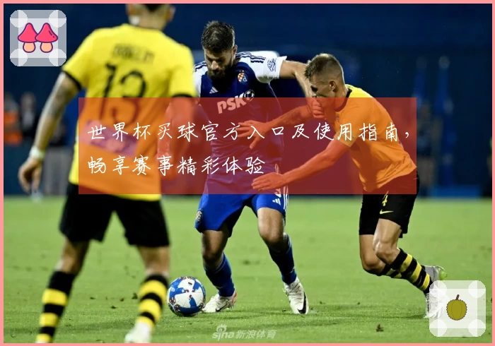 世界杯买球官方入口及使用指南，畅享赛事精彩体验