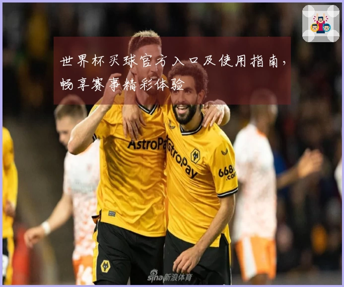 世界杯买球官方入口及使用指南，畅享赛事精彩体验