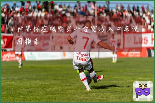 世界杯在线购买平台官方入口及使用指南
