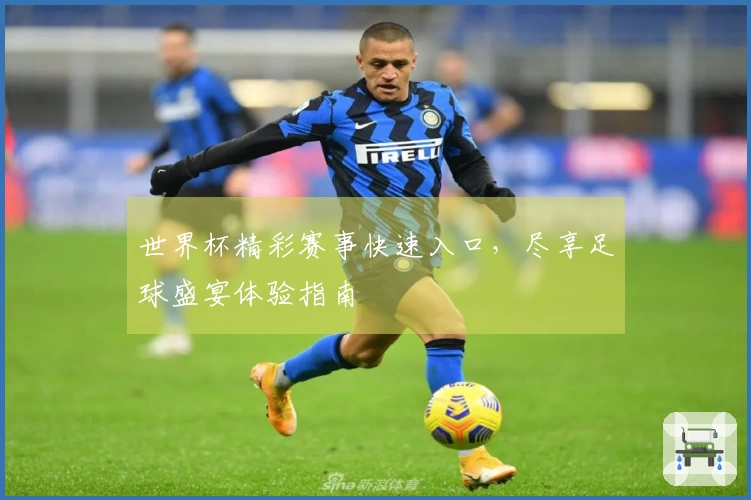 世界杯精彩赛事快速入口，尽享足球盛宴体验指南
