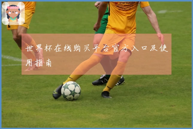 世界杯在线购买平台官方入口及使用指南