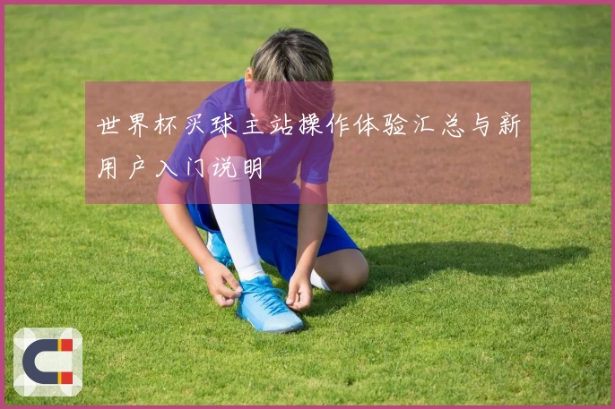 世界杯买球主站操作体验汇总与新用户入门说明