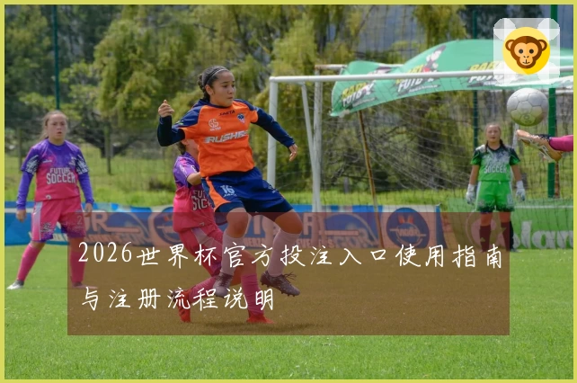 2026世界杯官方投注入口使用指南与注册流程说明
