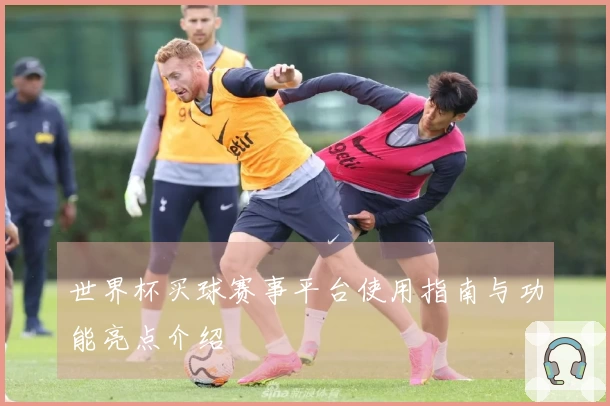 世界杯买球赛事平台使用指南与功能亮点介绍