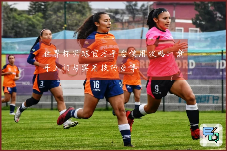 世界杯买球官方平台使用攻略：新手入门与实用技巧分享