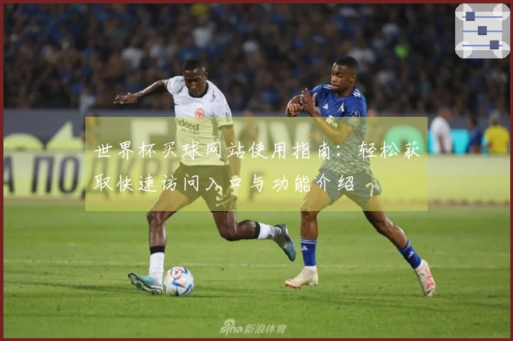 世界杯买球网站使用指南：轻松获取快速访问入口与功能介绍