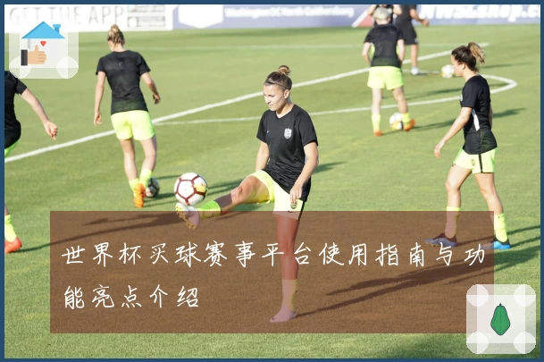 世界杯买球赛事平台使用指南与功能亮点介绍